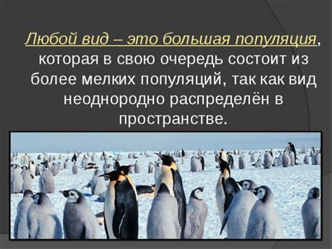 Большая популяция ведущих видов