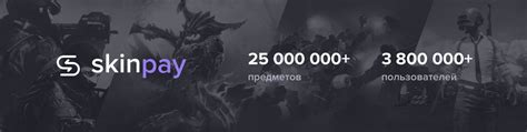 Бонусная программа в skinpay