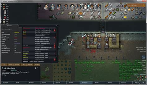 Бонусы и применение сканера в игре Rimworld