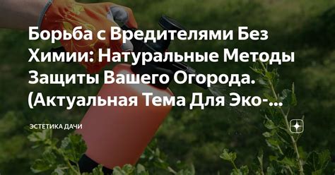 Борьба с вредителями и болезнями леса