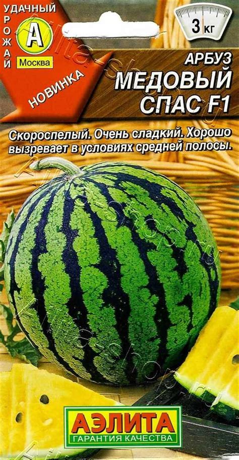 Ботанические особенности арбуза