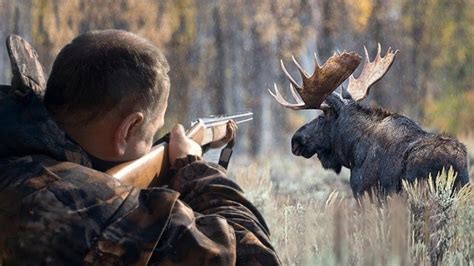 Браконьерство и незаконная торговля манулами