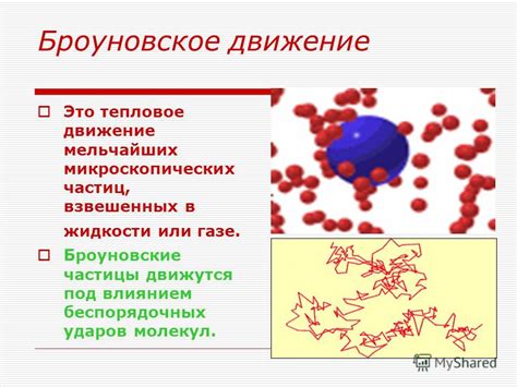 Броуновское движение и молекулярная кинетика