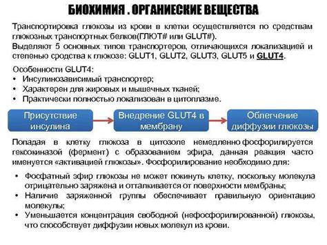 Быстрая транспортировка глюкозы в клетку