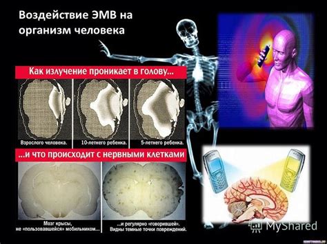 Быстрое воздействие на организм