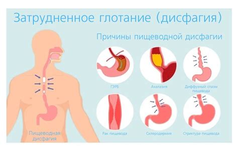 Быстрое поглощение пищи и глотание воздуха