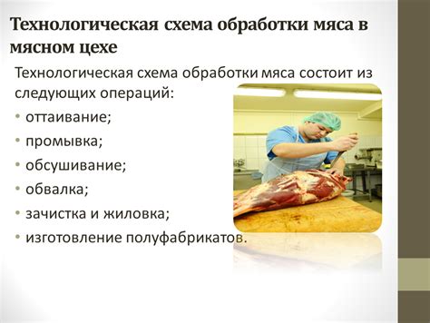 Бытовой способ обработки мяса