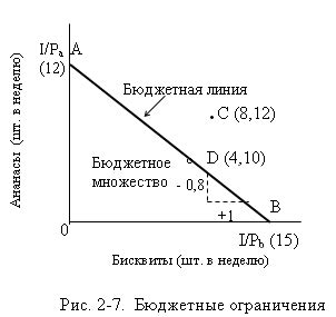 Бюджетные ограничения