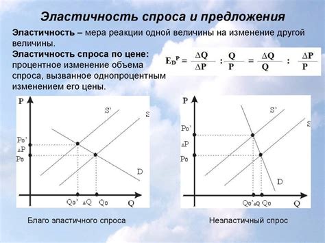 Бюджет и ценовой диапазон