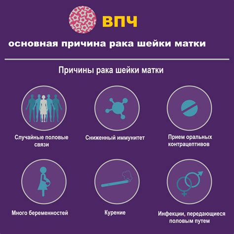 ВПЧ тест - подробная информация и особенности