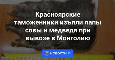 Важная информация о проверке и контроле при вывозе ракушек