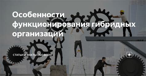 Важнейшие факты и условия функционирования