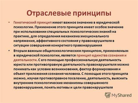 Важное значение определения типа ели