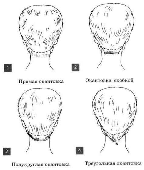 Важное значение регулярности стрижки