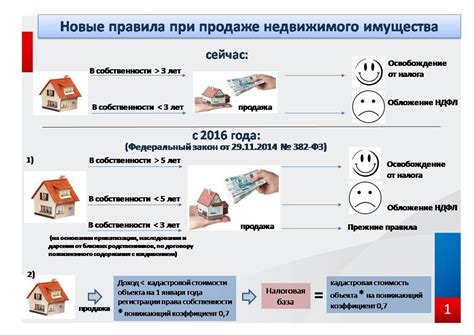 Важное руководство по устройству жилья и быта