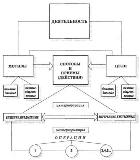 Важность анатомического понимания