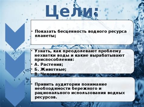 Важность бережного использования водных ресурсов