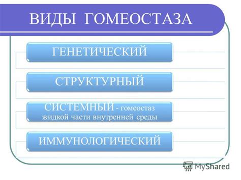 Важность биоса для поддержания гомеостаза