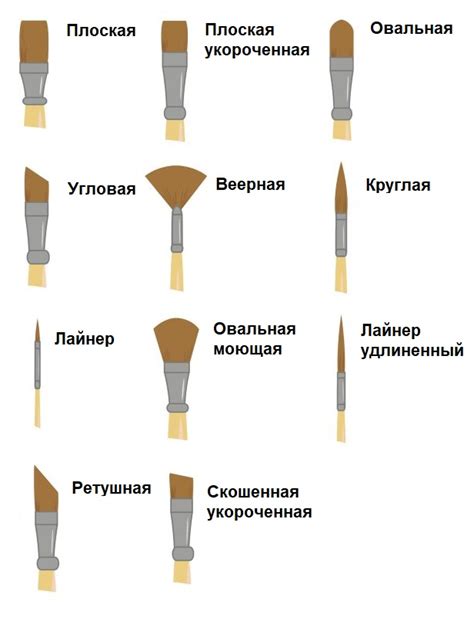 Важность выбора кисти для рисования виноградного листа