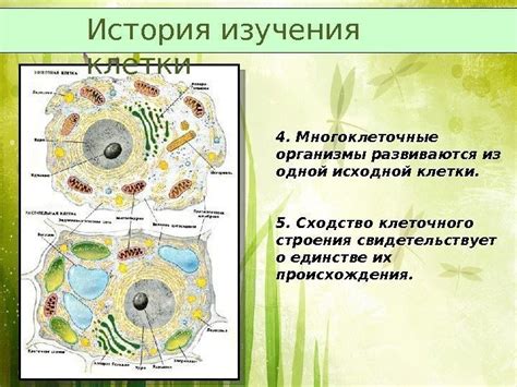 Важность изучения клетки