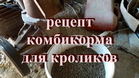 Важность качественного комбикорма