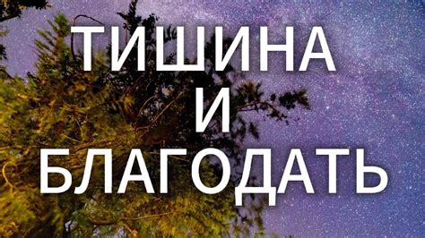 Важность молчания: мудрость природы