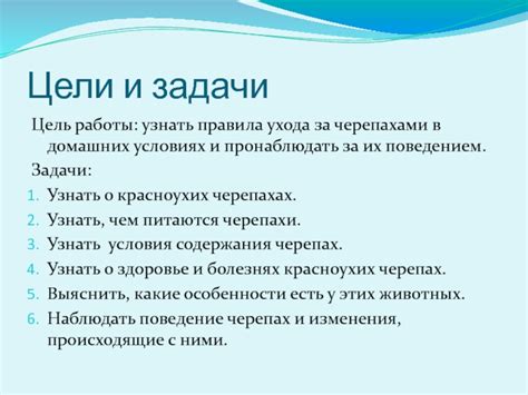 Важность наблюдения за поведением черепахи и своевременных корректив