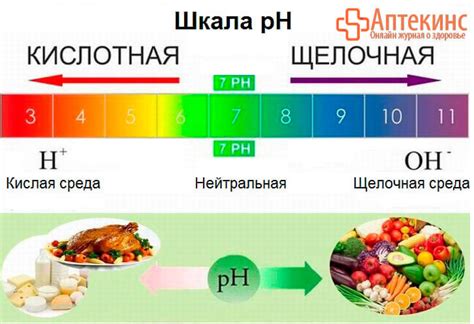 Важность наблюдения за цветом мочи и возможная реакция организма