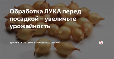 Важность обрезки севка перед посадкой