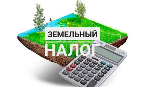 Важность оплаты налога на земельный участок