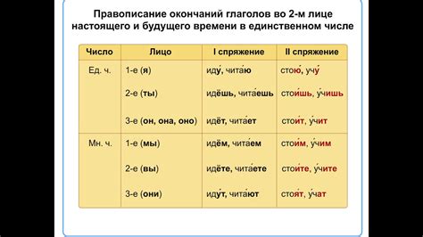 Важность определения лица глагола в прошедшем времени множественного числа