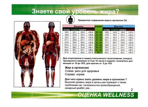 Важность определения процента жира в организме