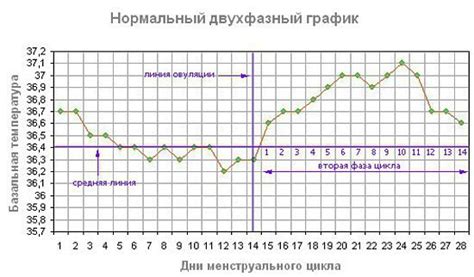 Важность определения фазы овуляции