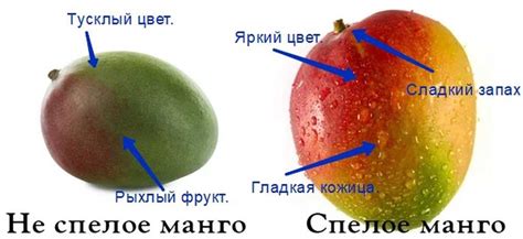 Важность оценки состояния плоти манго