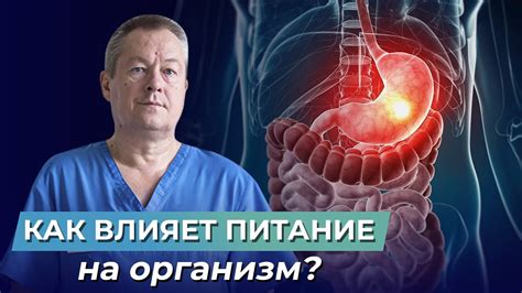 Важность питания для организма