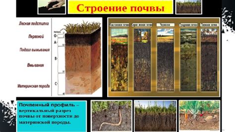 Важность подготовки земли