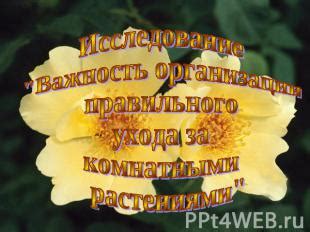 Важность поддержания правильного ухода