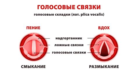 Важность покоя и снижения нагрузки на голосовые связки