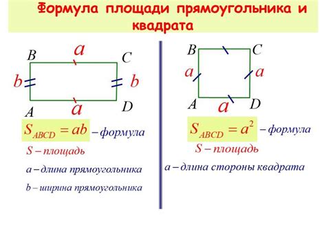 Важность понимания и использования периметра прямоугольника в жизни