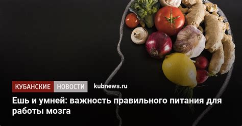 Важность правильного питания для мышечного роста