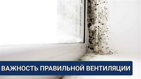 Важность правильной вентиляции для здоровья