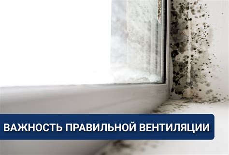 Важность правильной вентиляции для поддержания влажности