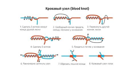 Важность правильной связки лесок