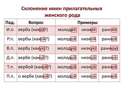 Важность правильной склоняемости фамилии Гаркуша в женском роде