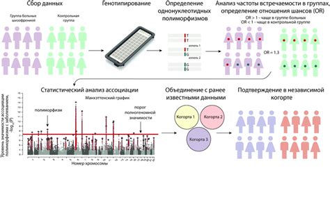 Важность правильной частоты проведения исследования