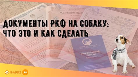 Важность проверки РКФ на собаку