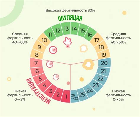 Важность проверки фертильности женщины