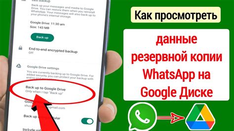 Важность резервной копии WhatsApp