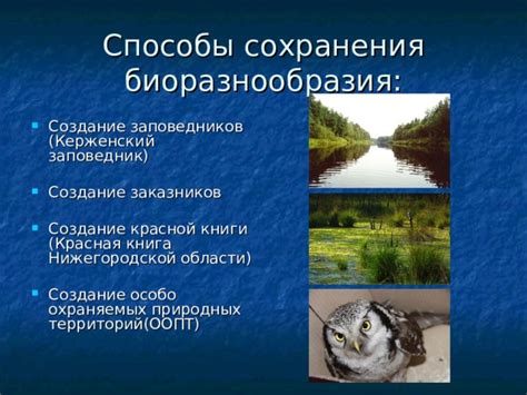 Важность сохранения биоразнообразия морской среды