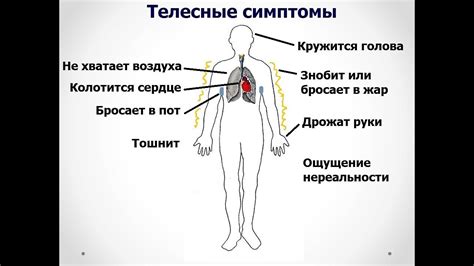 Важность сохранения интегритета нервной системы